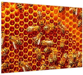 Tablou - Fagure de miere (70x50 cm)