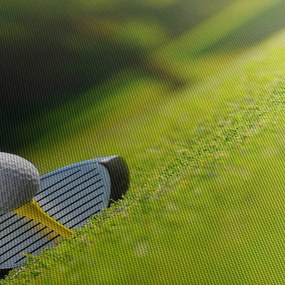 Tablou - Golf (90x60 cm)