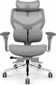 Scaun ergonomic ANEW ARYSE D6, Suport lombar dublu adaptiv 360°, Cotiere 5D, Tetieră 3D, Șezut mesh, Mecanism sensibil la greutate, Bază cromată, Suport pentru picioare, Gri