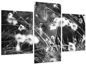 Tablou - Pânza de păianjen în pajiște (90x60 cm)