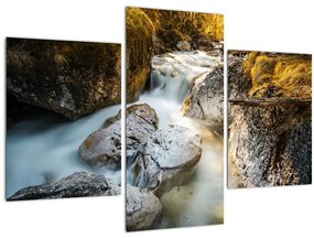 Tablou - Râul din pădure (90x60 cm)