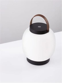 Lampa LED portabila iluminat exterior decorativ JIGRA