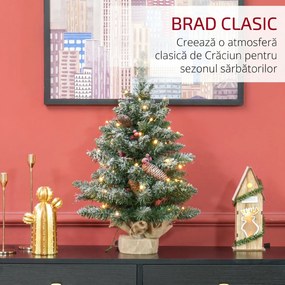 HOMCOM Mini brad de Crăciun 60 cm cu lumini integrate, 86 ramuri, conuri de pin, bobițe roșii, bază din ciment, verde | Aosom Romania