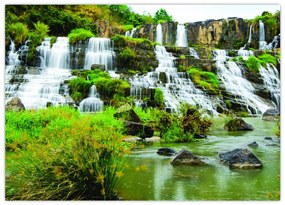 Tablou pe sticlă - cascade cu plante (70x50 cm)