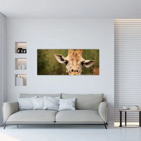 Tablou girafe (120x50 cm), în 40 de alte dimensiuni noi