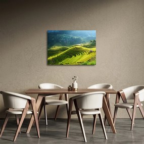 Tablou - Concert Terase de orez (70x50 cm)