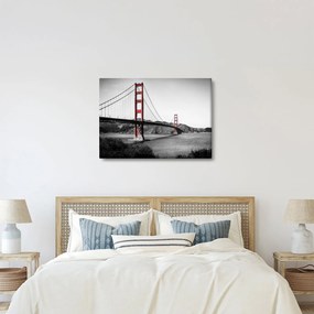 Tablou cu pod (70x50 cm)