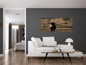 Tablou - Vacă din Texas (120x50 cm)