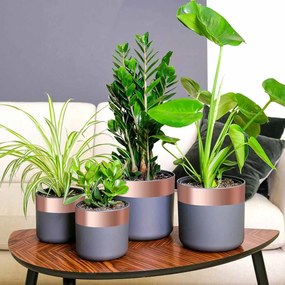 vidaXL Bandă din cupru dublă față 6 pcs Cupru 2000 x 7 cm Cupru