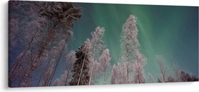 Tablou cu aurora borealis deasupra pomilor înghețați (120x50 cm)