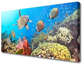 Tablou pe panza canvas Coral Reef Peisaj Multi