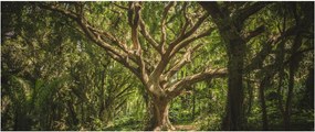 Tablou cu copaci (120x50 cm)