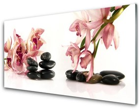 Tablouri acrilice Flori Stones Art Brun Negru Alb