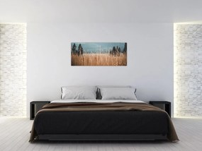 Tablou - detaliu spațiului de luncă (120x50 cm)