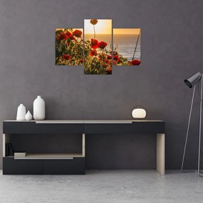 Tablou cu apus de soare cu flori de maci (90x60 cm)
