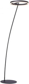 Paul Neuhaus Titus lampă de podea 1x19.5 W negru 381-13