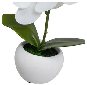 Plante artificiale 3 buc. (înălțime 15 cm) Orchid – Casa Selección