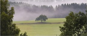Tablou - Lunca cu copac (120x50 cm)