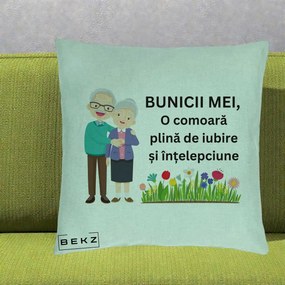 Cadou pentru Bunici - Perna Personalizata Bunicii Mei Comoara Cuplu Senior cu Flori Colorat, 40x40 cm, Verde Menta, Husa Detasabila, Perna Inclusa, BEKZ®