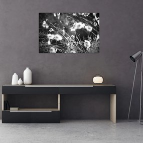 Tablou - Pânza de păianjen în pajiște (90x60 cm)