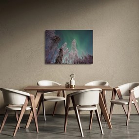 Tablou pe sticlă cu aurora borealis deasupra pomilor înghețați (70x50 cm)