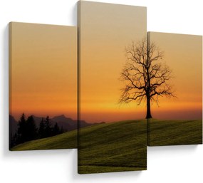 Tablou cu apus de soare pe o luncă (90x60 cm)