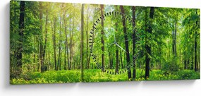 Tablou - Pădurea cu frunze de primăvară (cu ceas) (90x30 cm)