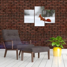 Tablou - Vevetițe (90x60 cm)