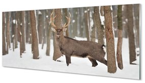 Tablouri acrilice pădure de iarnă Deer
