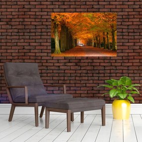 Tablou - Bulevardul de copaci în toamnă (90x60 cm)