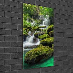 Imagine de sticlă Cascada din junglă