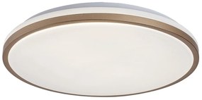 Plafoniera LED pentru baie protectie IP44 Slava