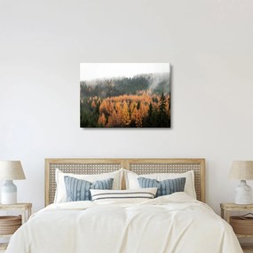 Tablou - Pădure toamna (70x50 cm)