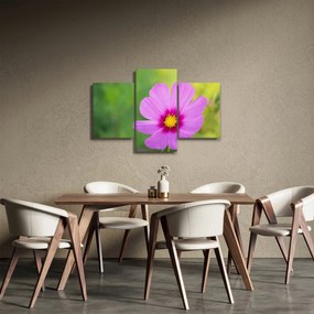 Tablou - floare de câmp (90x60 cm)