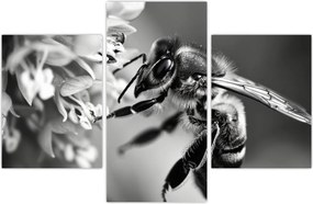 Tablou - Detaliu de albină (90x60 cm)