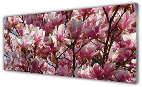 Tablouri acrilice Ramuri Flori Floral Brown roz