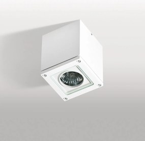 Spot aplicat / Plafoniera pentru iluminat exterior IP54 TONIO