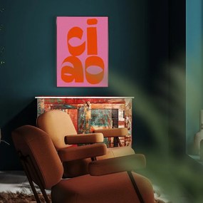 Tablou 50x70 cm Ciao – Styler