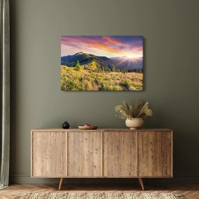 Tablou - Peisaj forestier (90x60 cm)