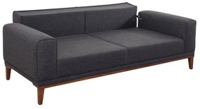 Set canapele/fotolii 3+1 Lesana (Antracit). 1072788