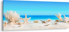 Tablou - Natura morta cu scoici (120x50 cm)