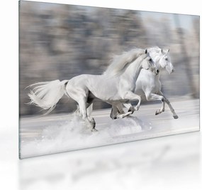 Tablou pe sticlă - Cai albi în timpul iernii (70x50 cm)