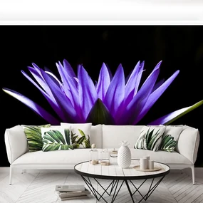 Fototapet Purple Lotus