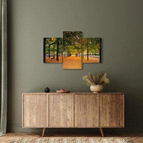 Tablou cu alee cu copaci în toamnă (90x60 cm)