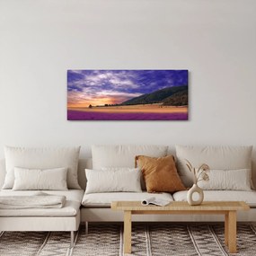 Tablou cu lunca cu lavandă (120x50 cm)