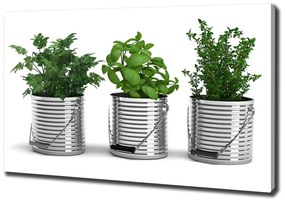 Pictură pe pânză Plante aromatice