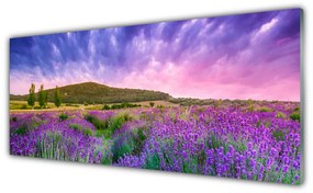Tablouri acrilice Meadow Munții Flori Natura Verde Violet Albastru Roz