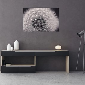 Tablou cu păpădie (90x60 cm)