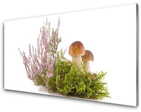 Tablou pe sticla Ciuperci Floral Maro Alb