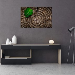 Tablou cu frunză pe trunchi de copac (90x60 cm)